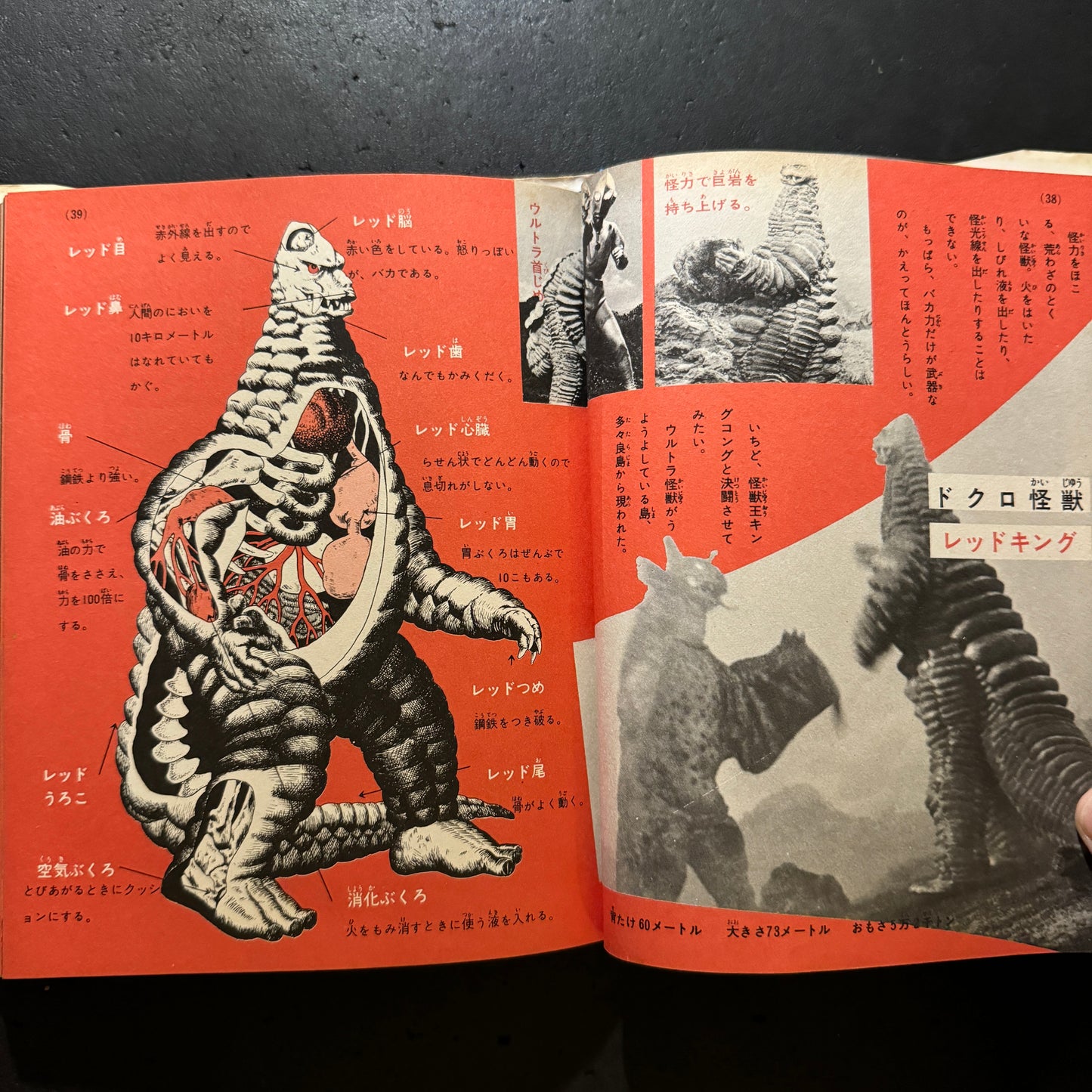 Kaiju Illustrated Introduction 18 (another cover edition)