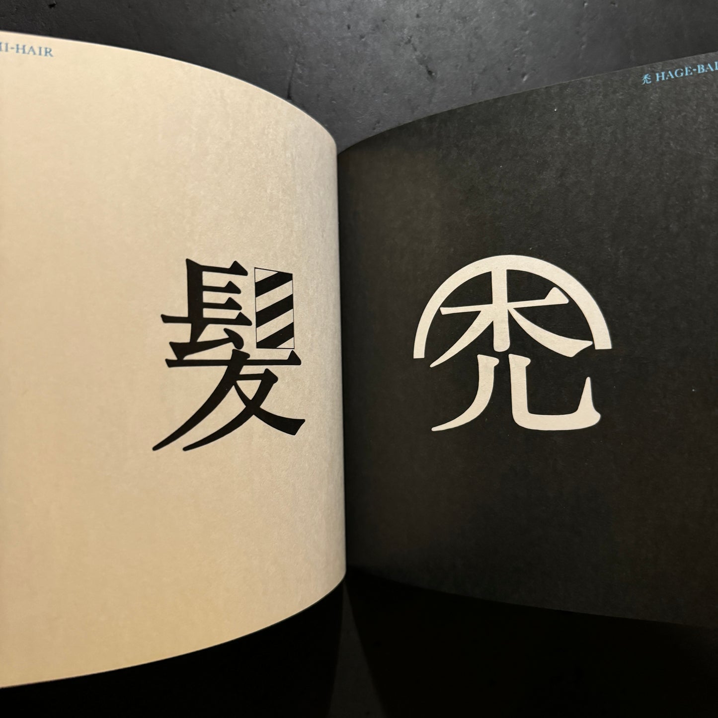 THE IMAGES OF CHINESE CHARACTERS