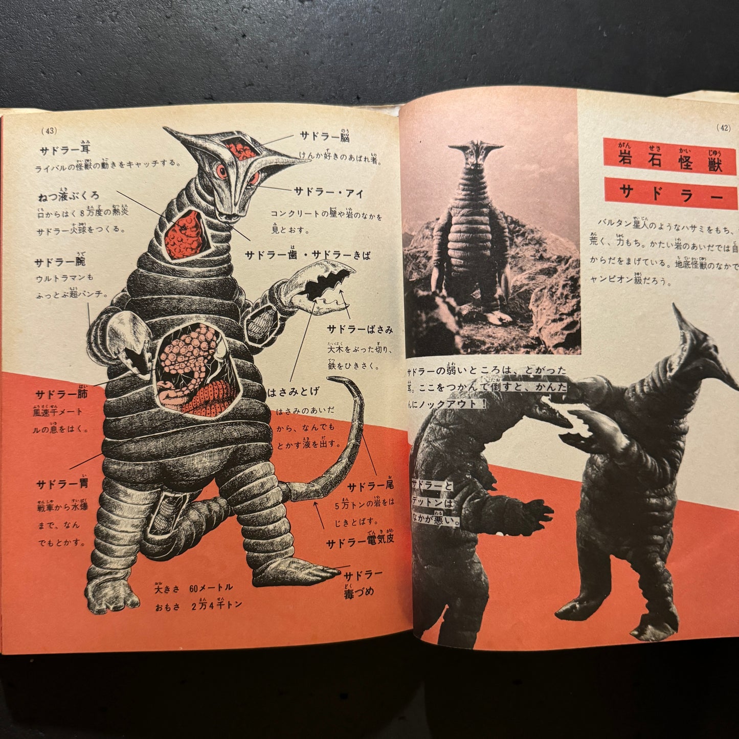 Kaiju Illustrated Introduction 18