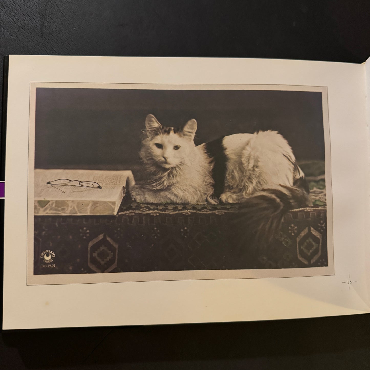 The Cat's Mansion: The World of Antique Cards