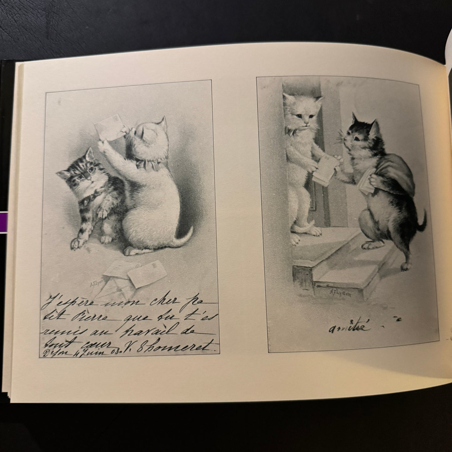 The Cat's Mansion: The World of Antique Cards