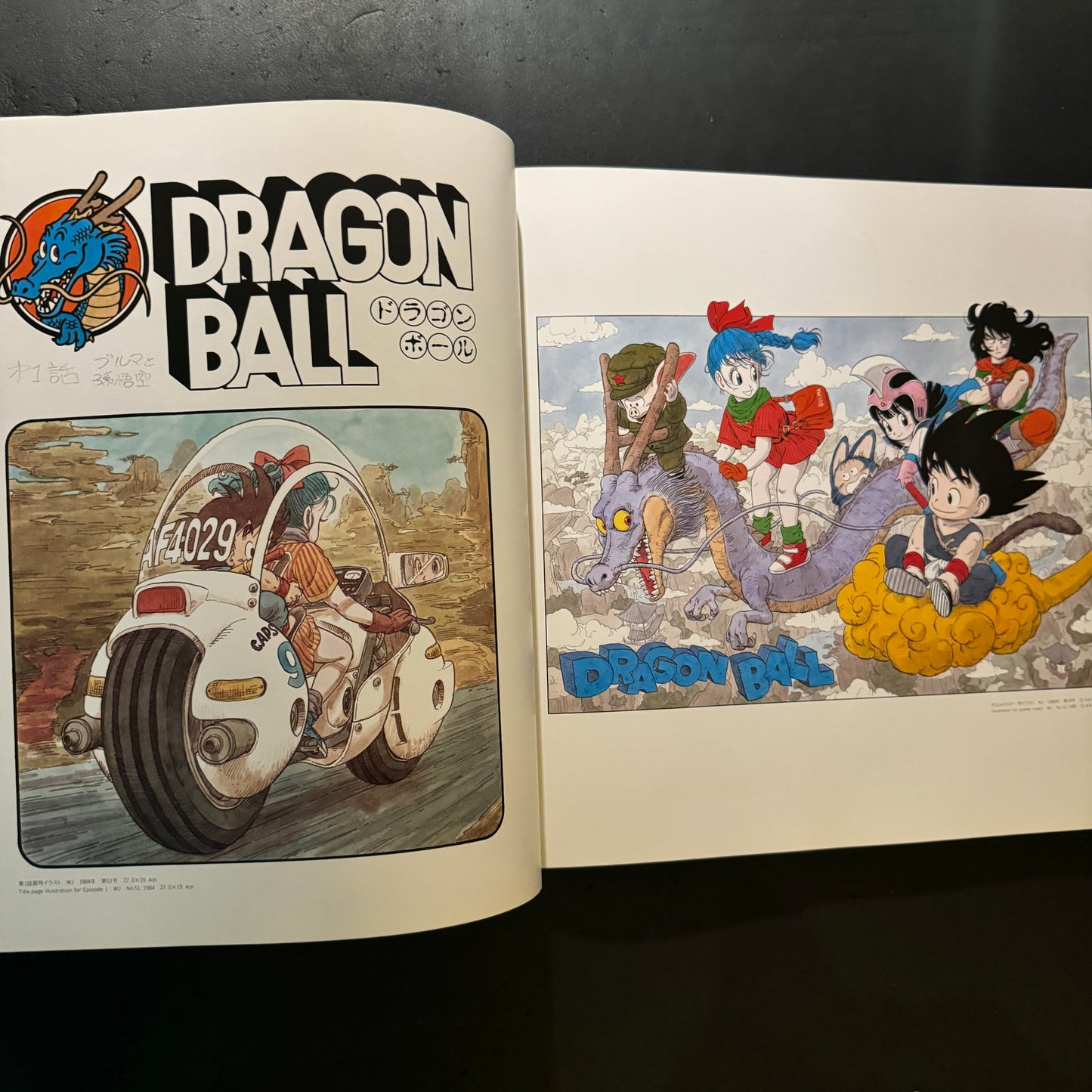 The World of Akira Toriyama Exhibition Art Catalog with original plastic bag