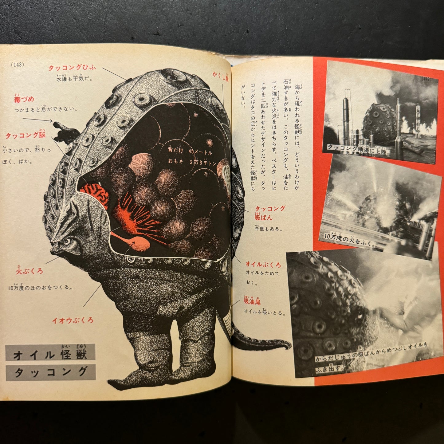 Kaiju Illustrated Introduction 18 (another cover edition)