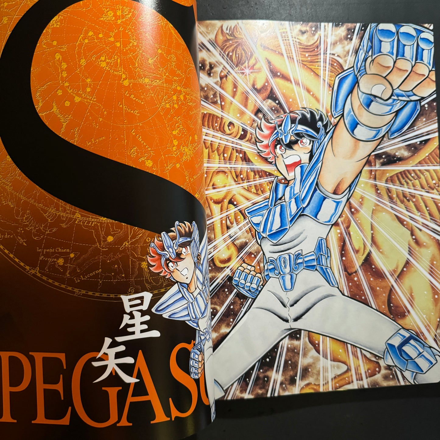 Saint Seiya Illustration SORA