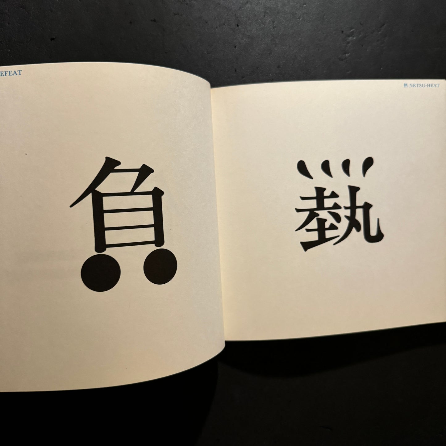 THE IMAGES OF CHINESE CHARACTERS