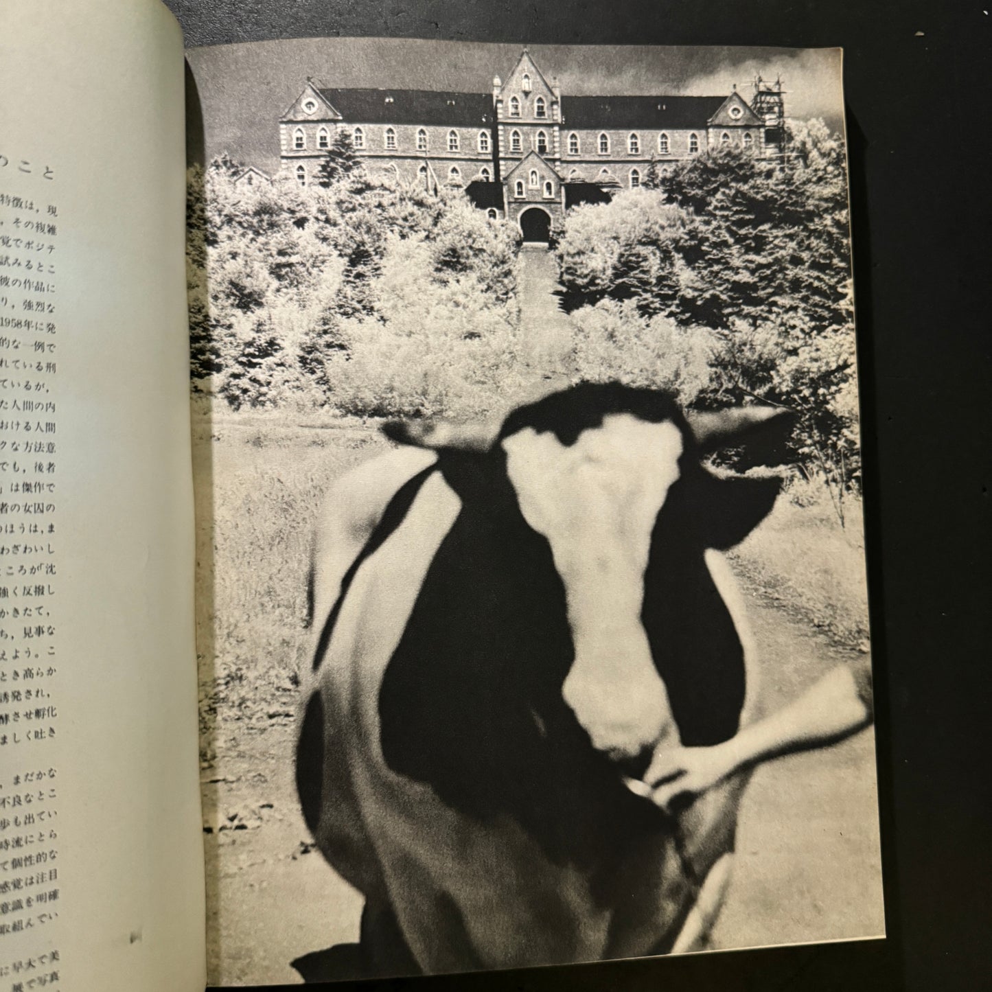 ASAHI CAMERA ANNUAL 1959