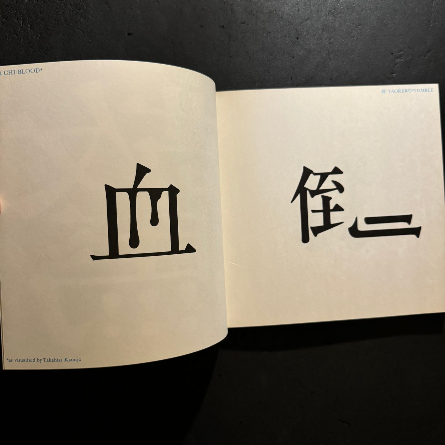 THE IMAGES OF CHINESE CHARACTERS