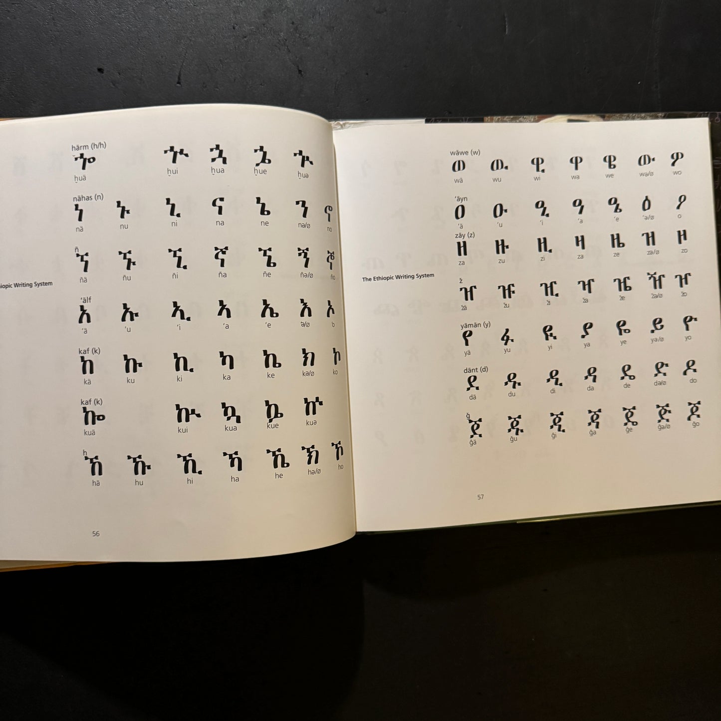 Afrikan Alphabets - The story of writing in Afrika