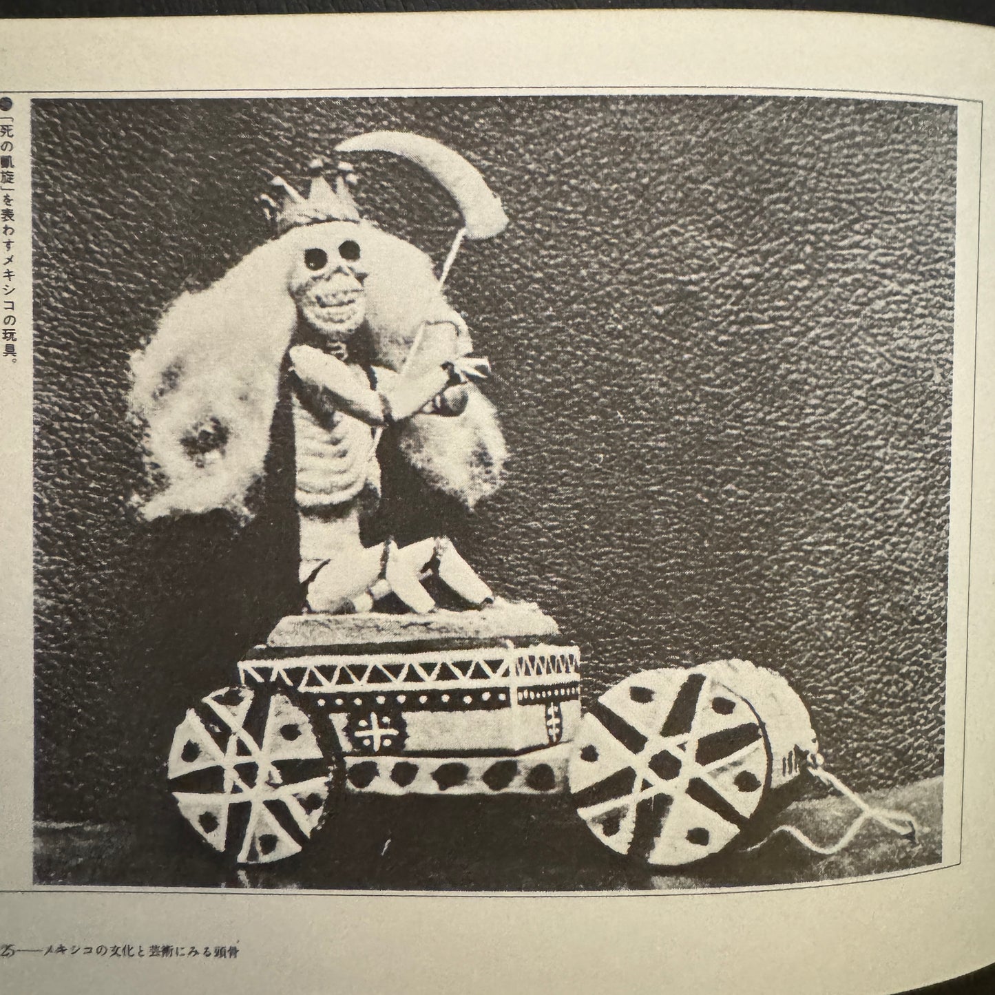 Cultural History of the Skull (Japanese edition) without a transportation carbon box