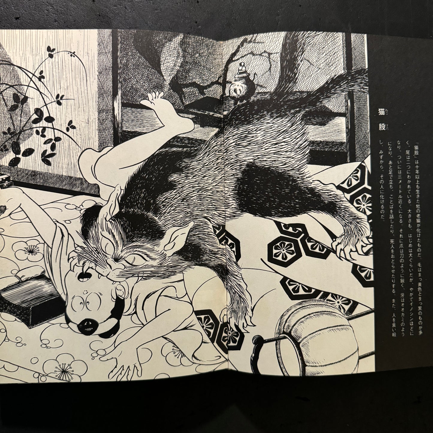 Shigeru Mizuki Yokai Artbook