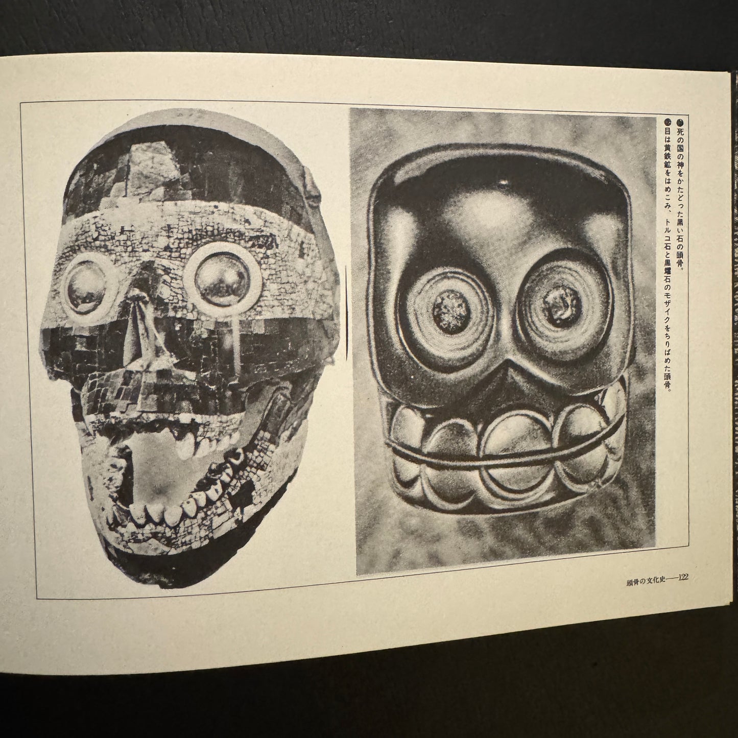 Cultural History of the Skull (Japanese edition) without a transportation carbon box