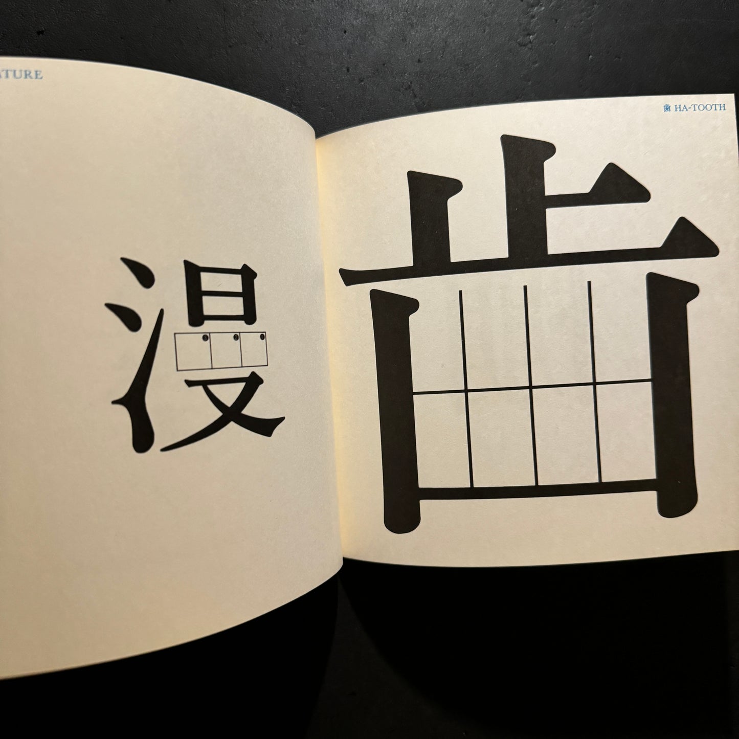 THE IMAGES OF CHINESE CHARACTERS