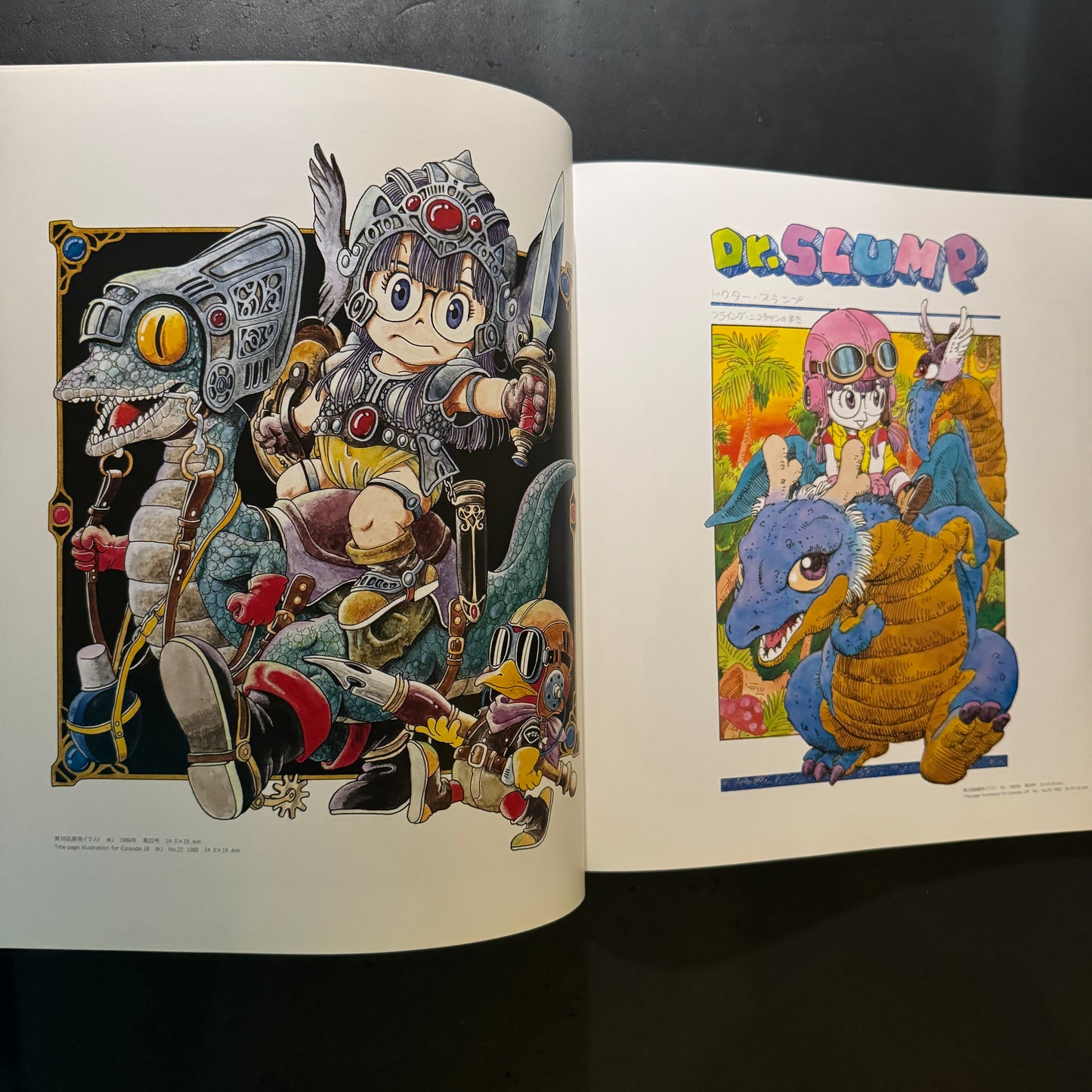 The World of Akira Toriyama Exhibition Art Catalog with original plastic bag