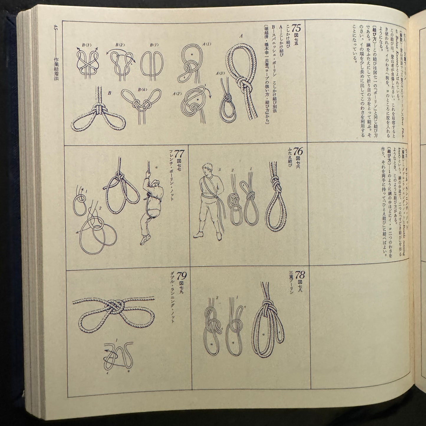 Illustrated Japanese knot