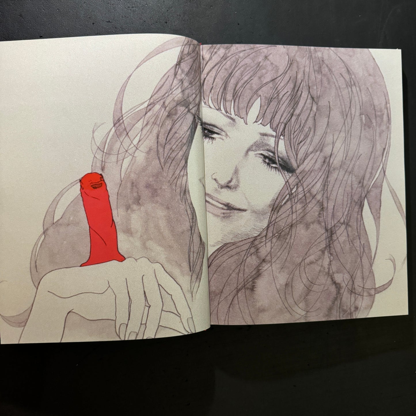 Belladonna of Sadness: A Companion Book to the 1973 Cult Japanese Anime Film