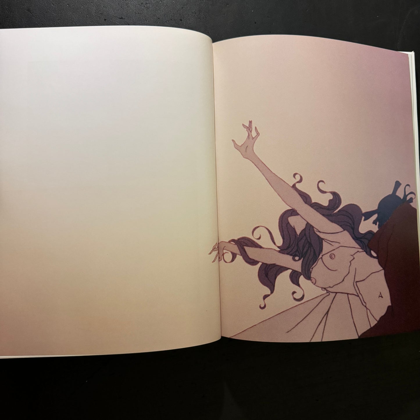 Belladonna of Sadness: A Companion Book to the 1973 Cult Japanese Anime Film