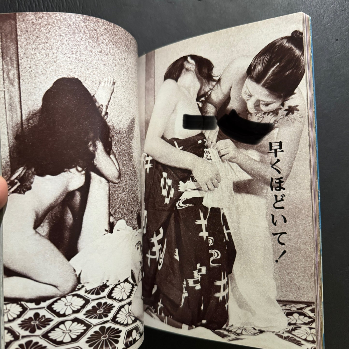 Tattooed Woman: Ninkyō Chapter