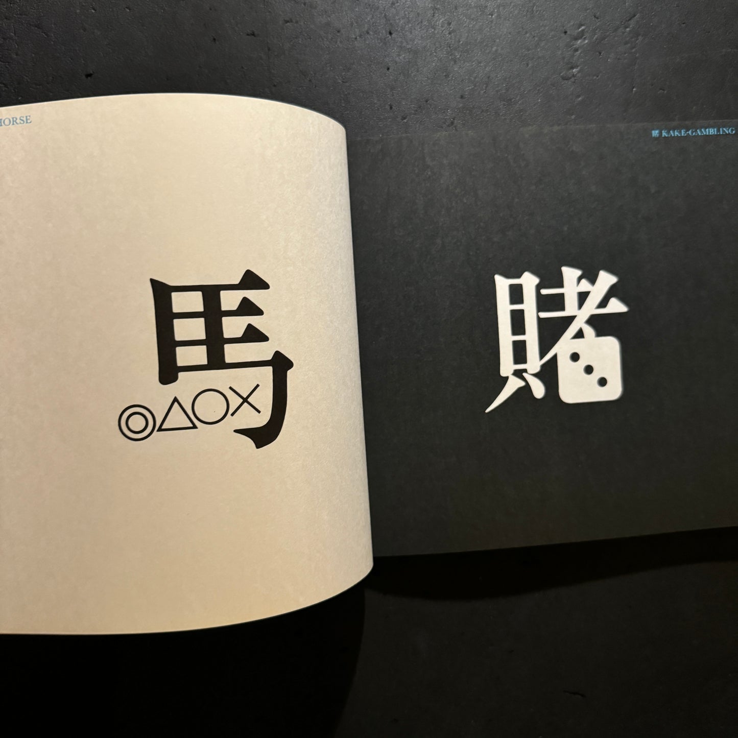 THE IMAGES OF CHINESE CHARACTERS