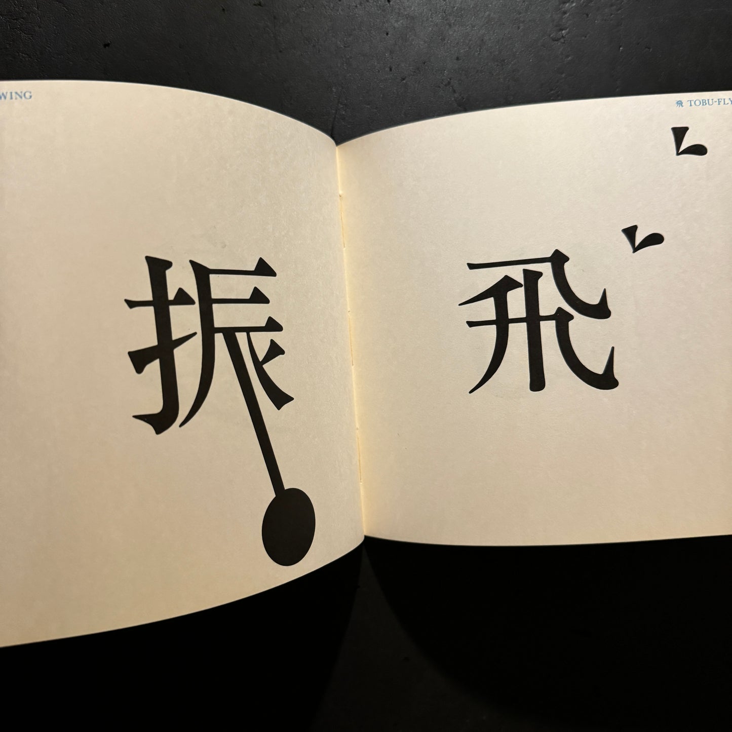 THE IMAGES OF CHINESE CHARACTERS