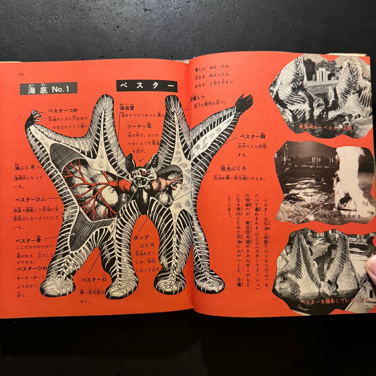 Kaiju Illustrated Introduction 18