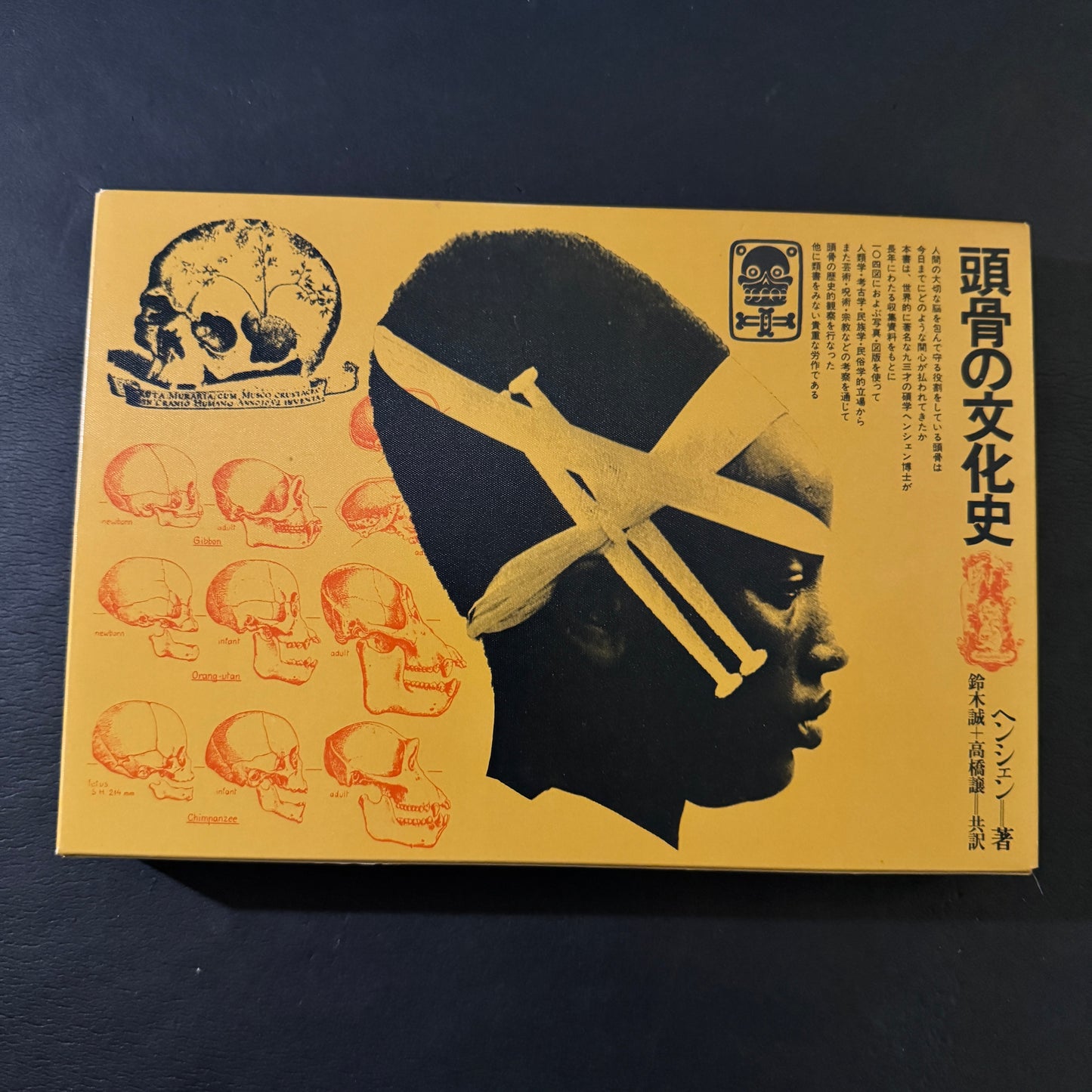 Cultural History of the Skull (Japanese edition) without a transportation carbon box