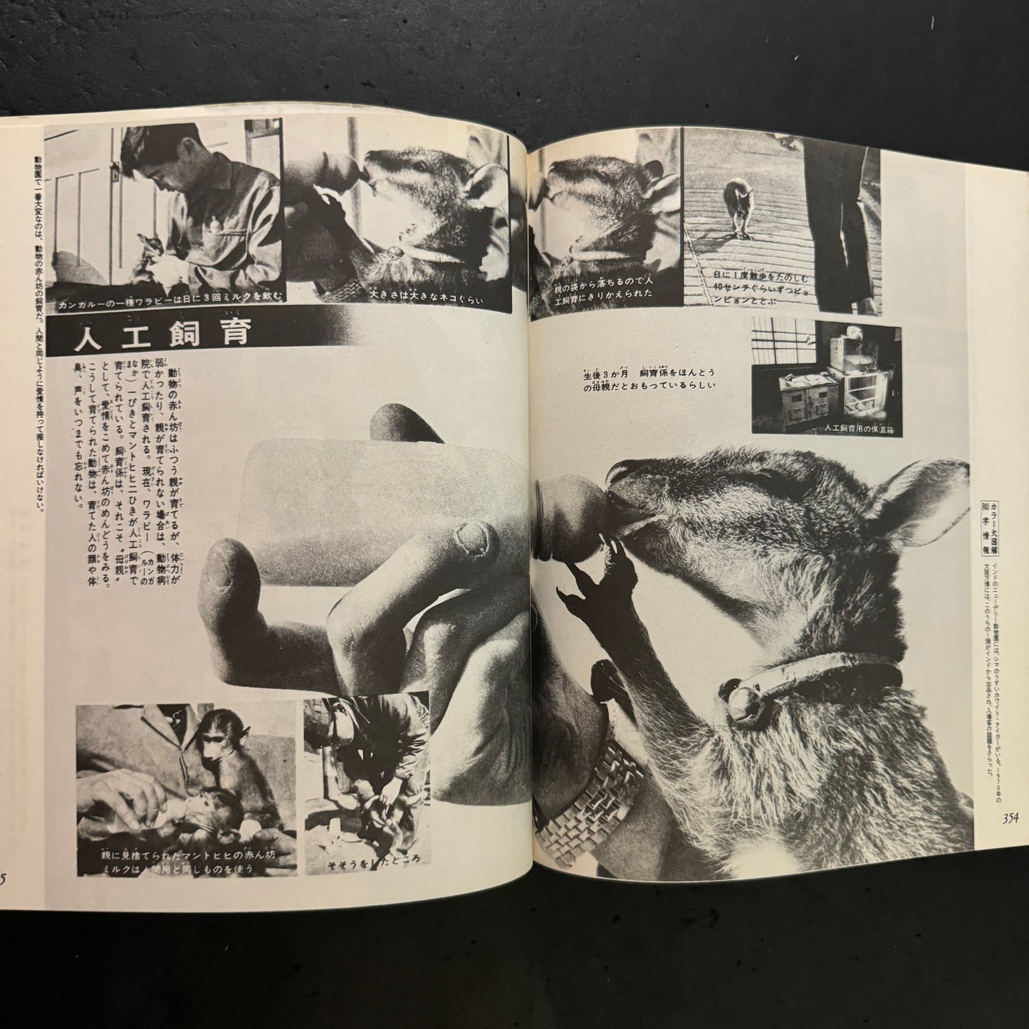 The World of Shoji Otomo: The Visual Magician