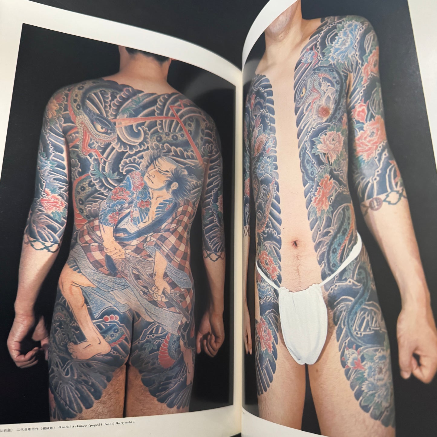 World of Japanese Tattooing color-illustrated