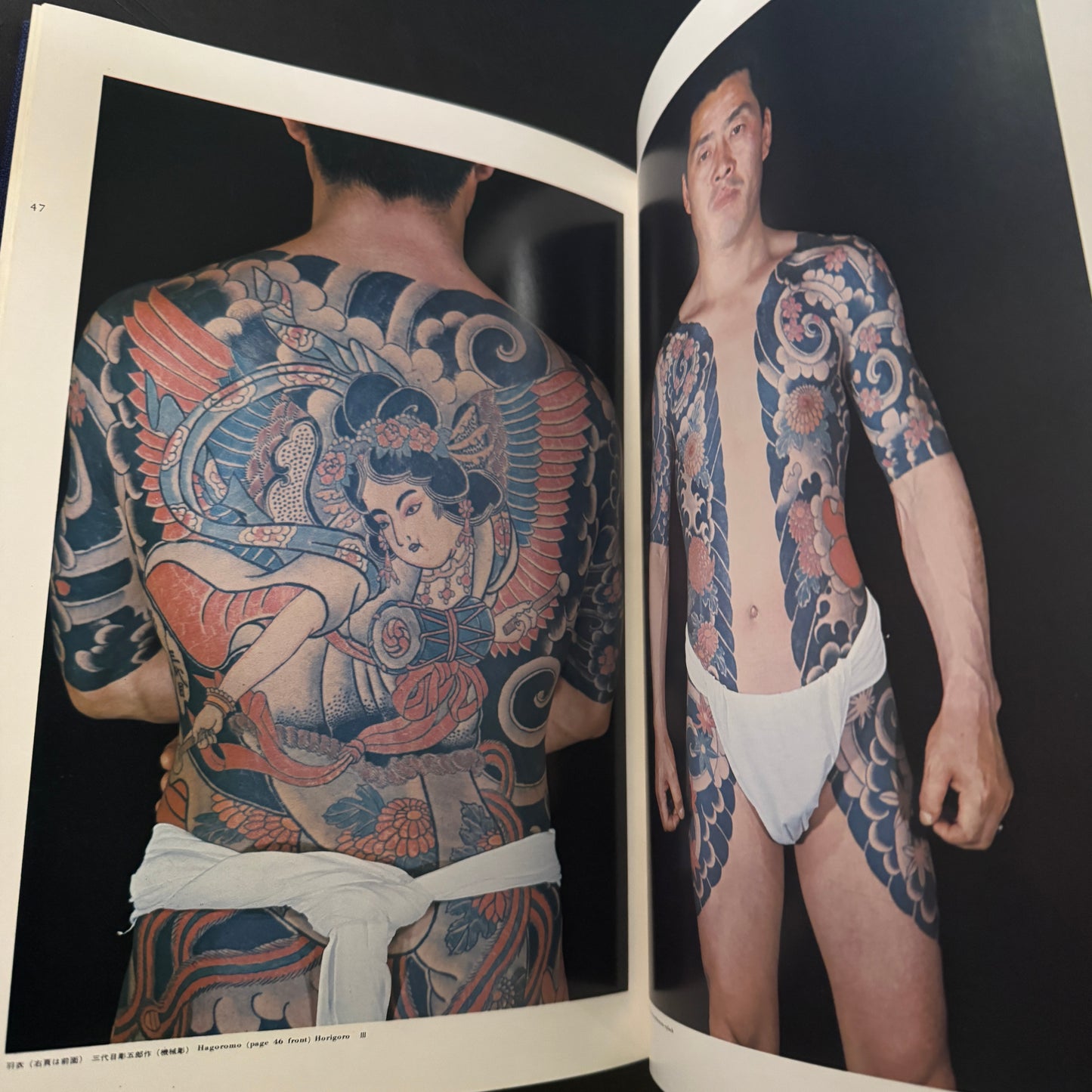 World of Japanese Tattooing color-illustrated