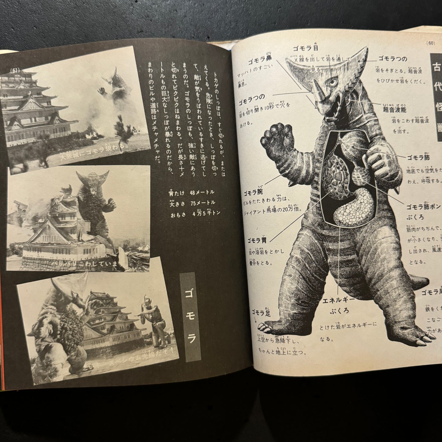 Kaiju Illustrated Introduction 18