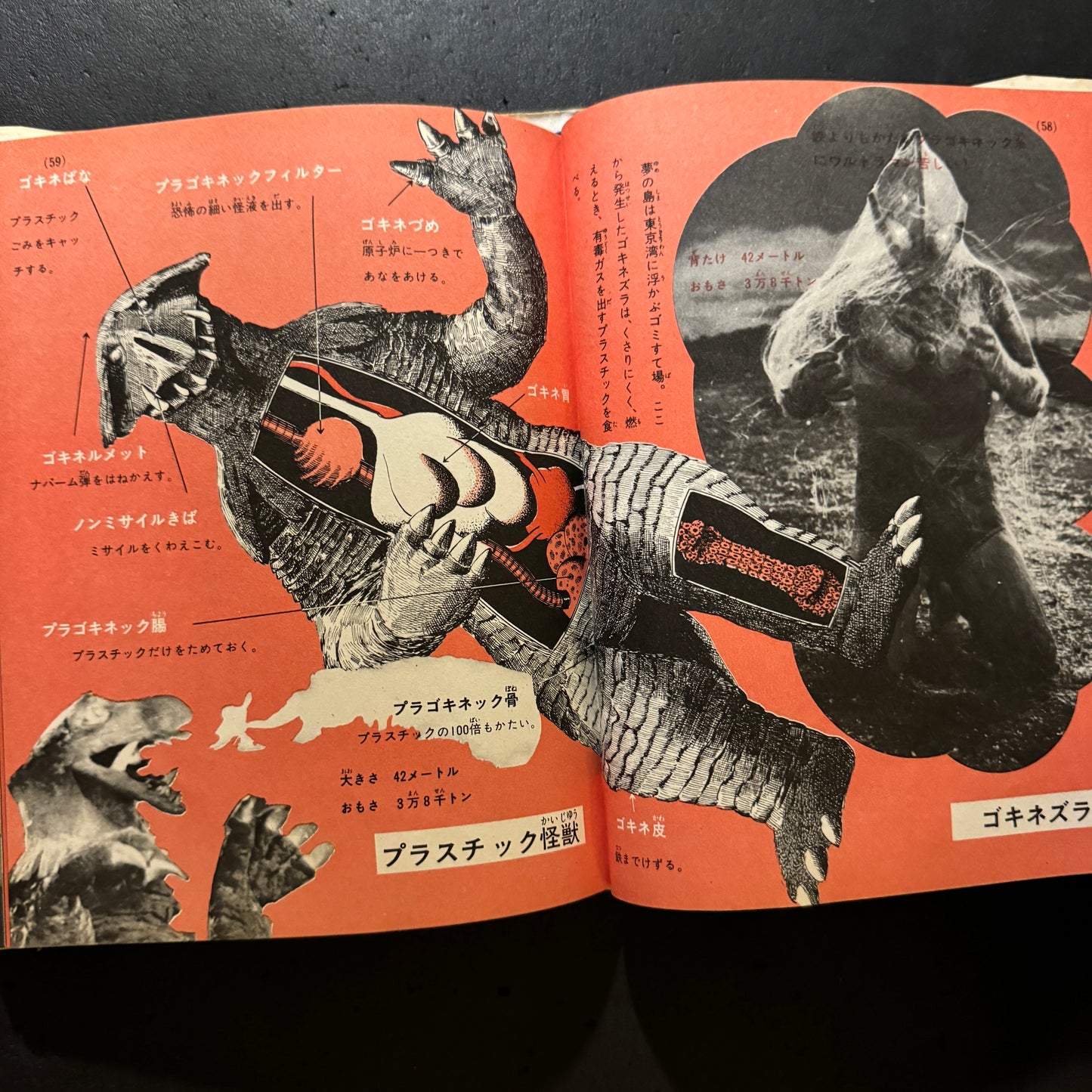 Kaiju Illustrated Introduction 18