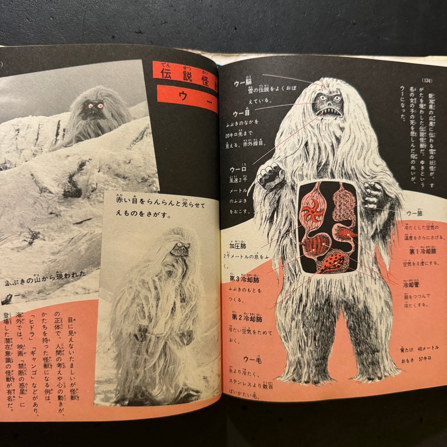 Kaiju Illustrated Introduction 18