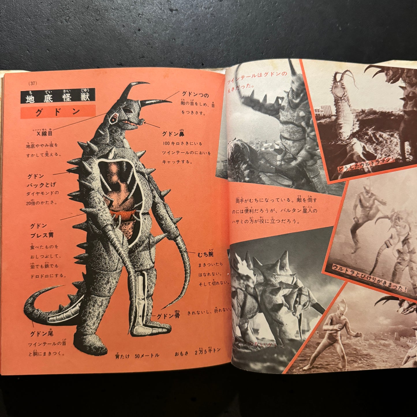 Kaiju Illustrated Introduction 18