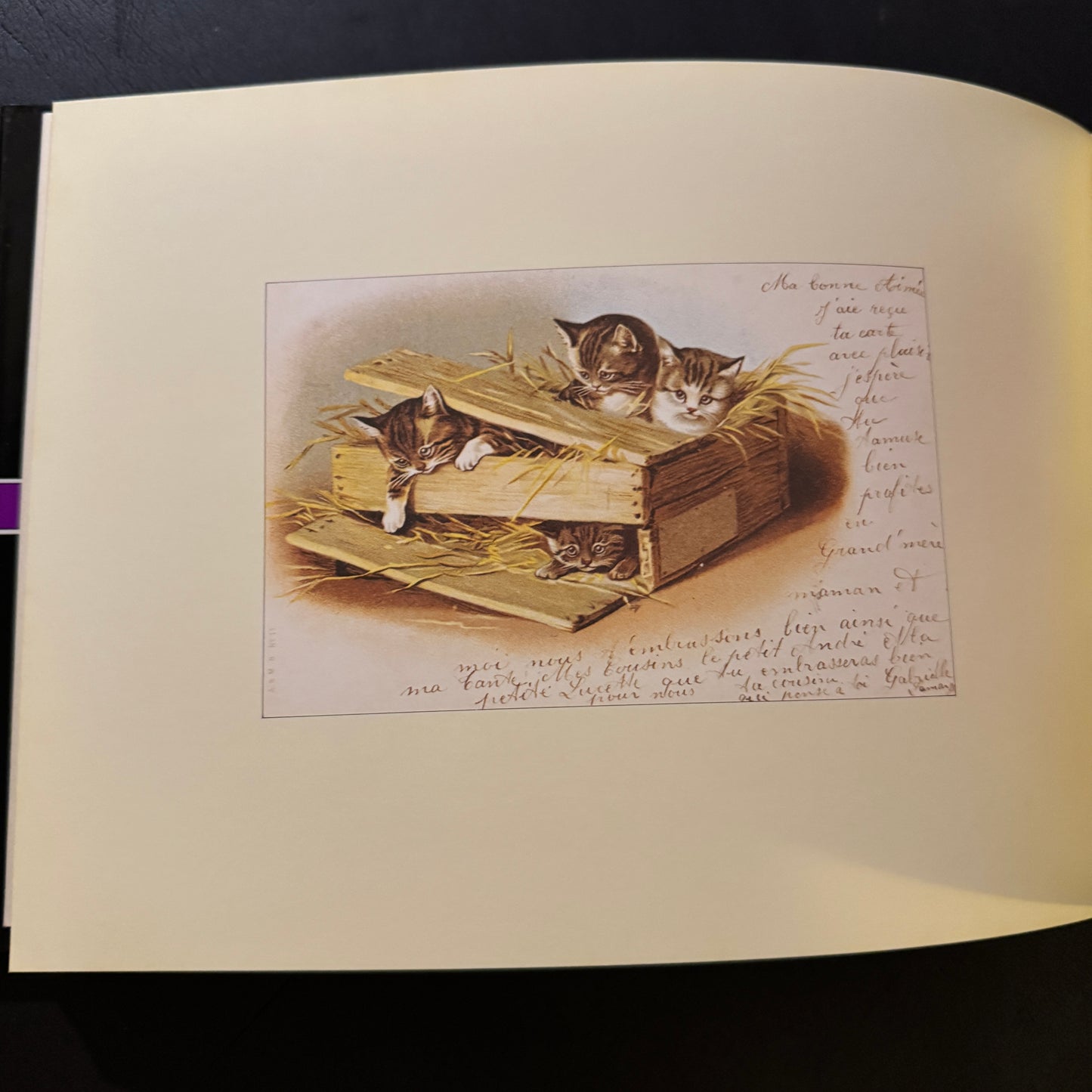 The Cat's Mansion: The World of Antique Cards