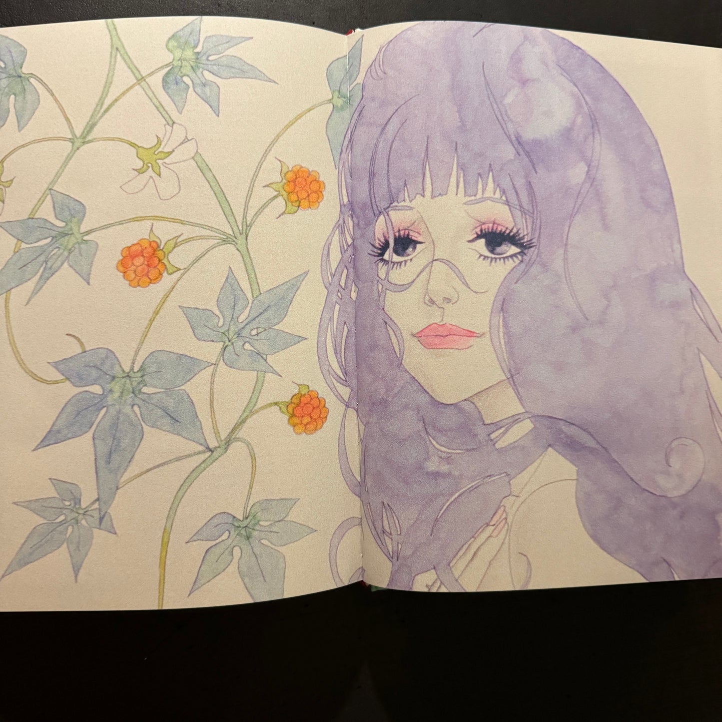 Belladonna of Sadness: A Companion Book to the 1973 Cult Japanese Anime Film