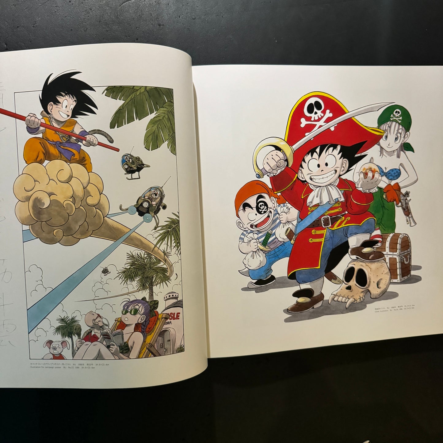 The World of Akira Toriyama Exhibition Art Catalog with original plastic bag