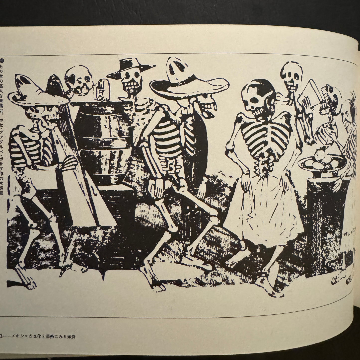 Cultural History of the Skull (Japanese edition) without a transportation carbon box