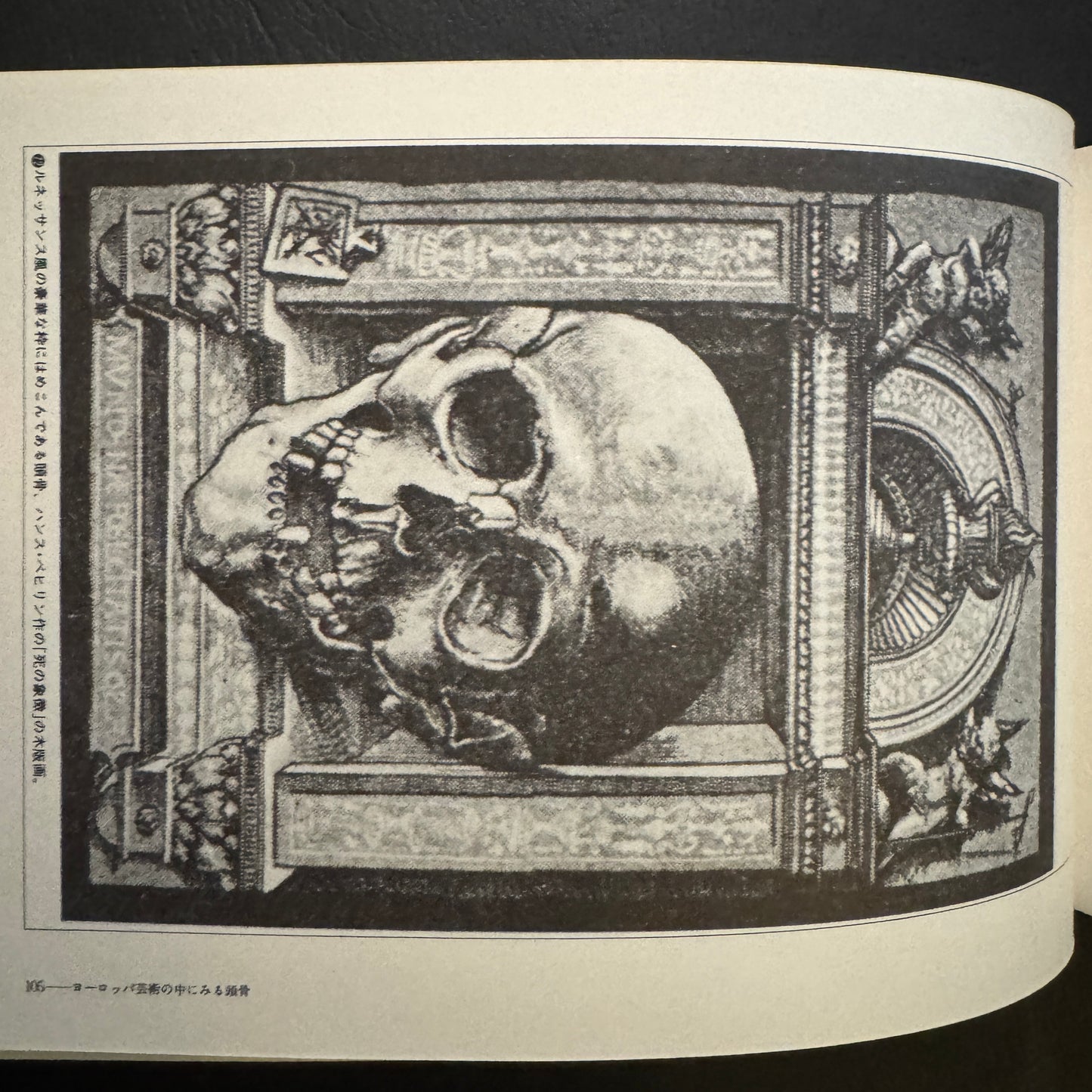 Cultural History of the Skull (Japanese edition) without a transportation carbon box