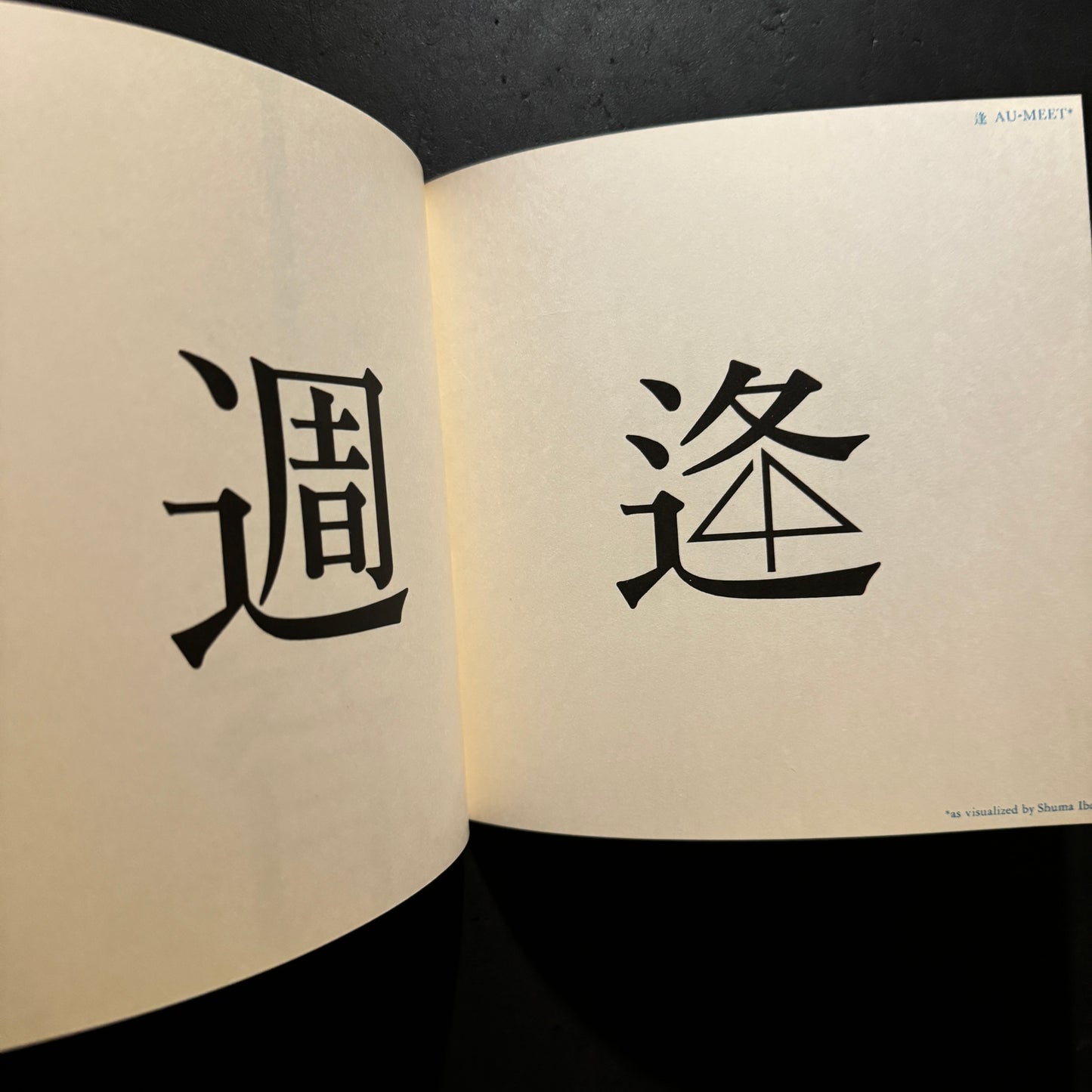 THE IMAGES OF CHINESE CHARACTERS