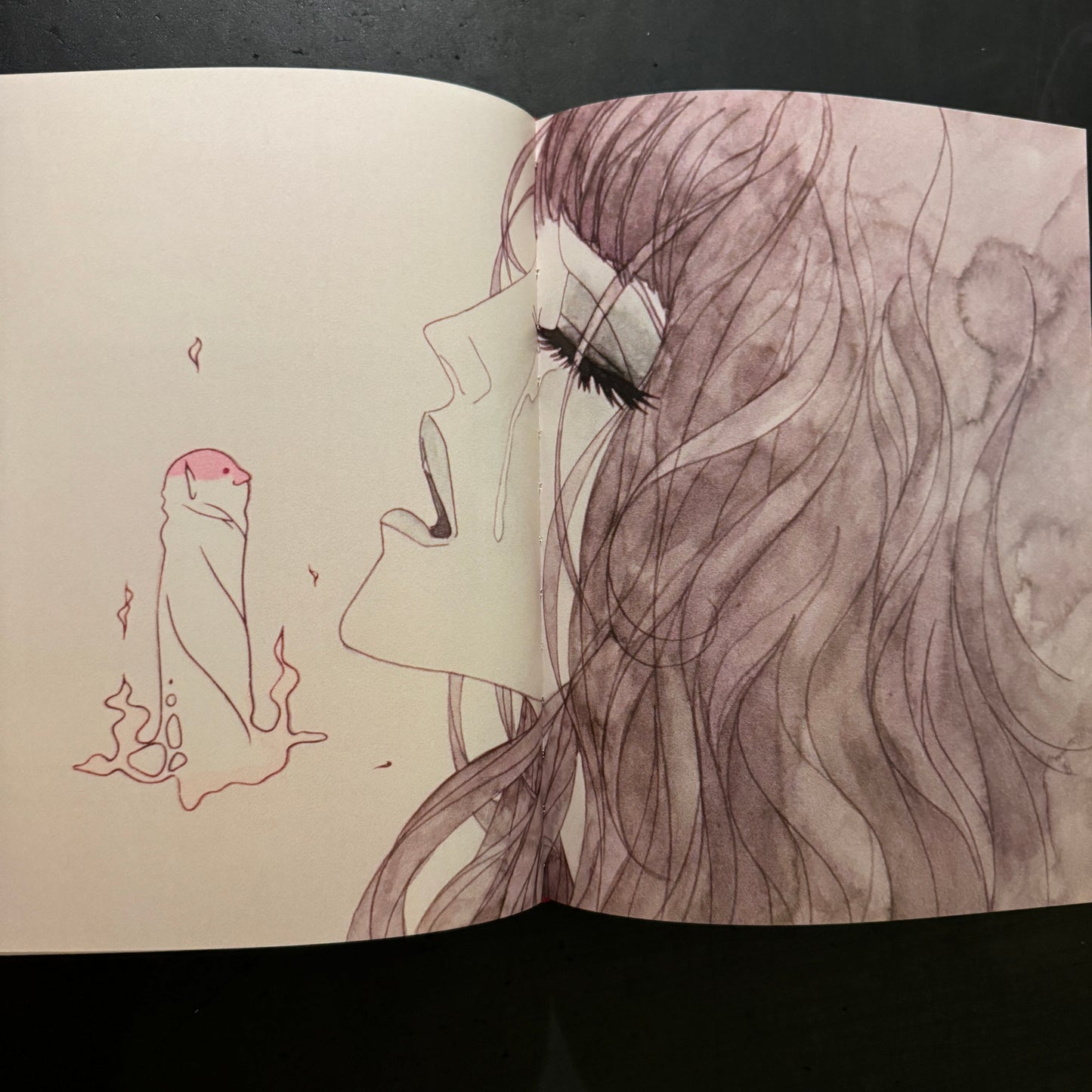 Belladonna of Sadness: A Companion Book to the 1973 Cult Japanese Anime Film