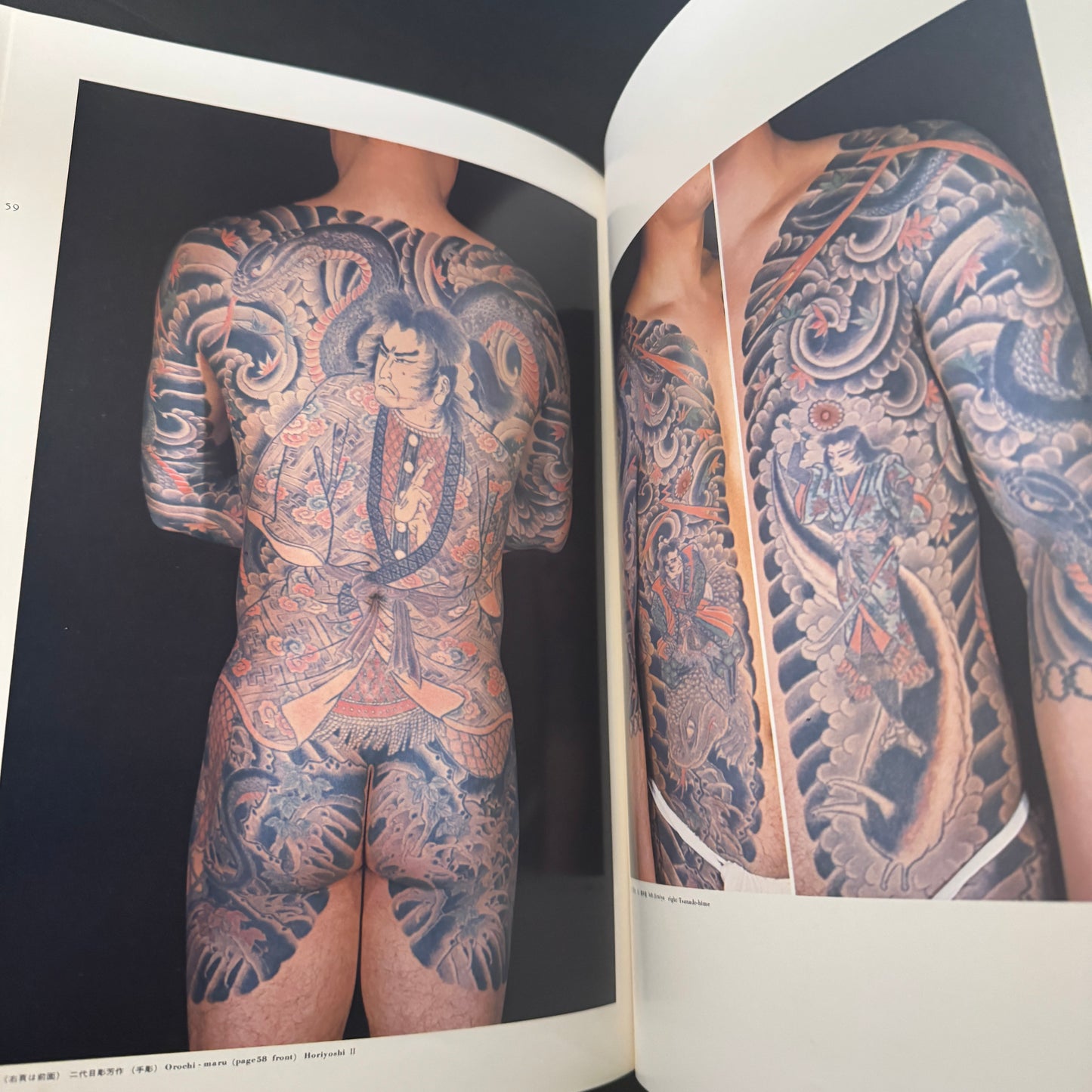 World of Japanese Tattooing color-illustrated