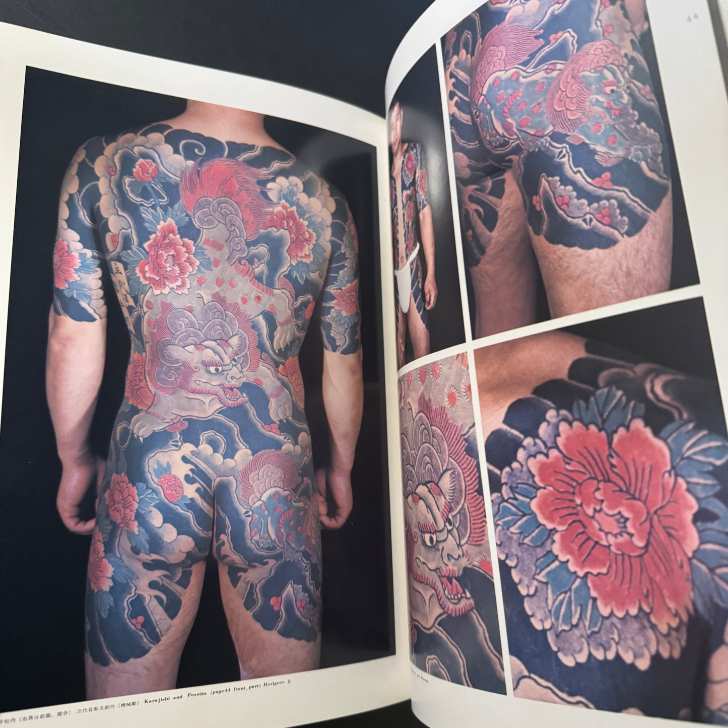 World of Japanese Tattooing color-illustrated