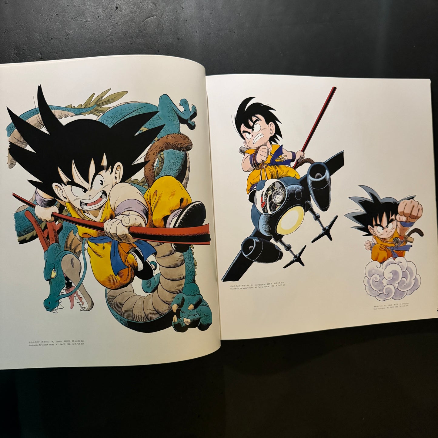 The World of Akira Toriyama Exhibition Art Catalog with original plastic bag