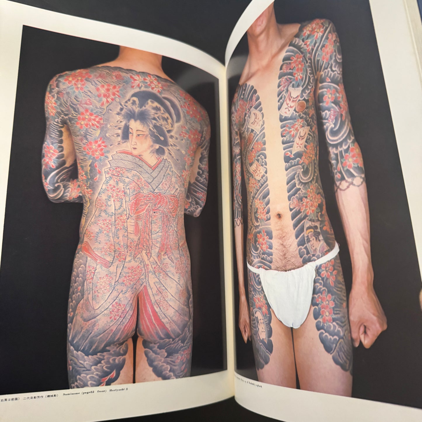 World of Japanese Tattooing color-illustrated