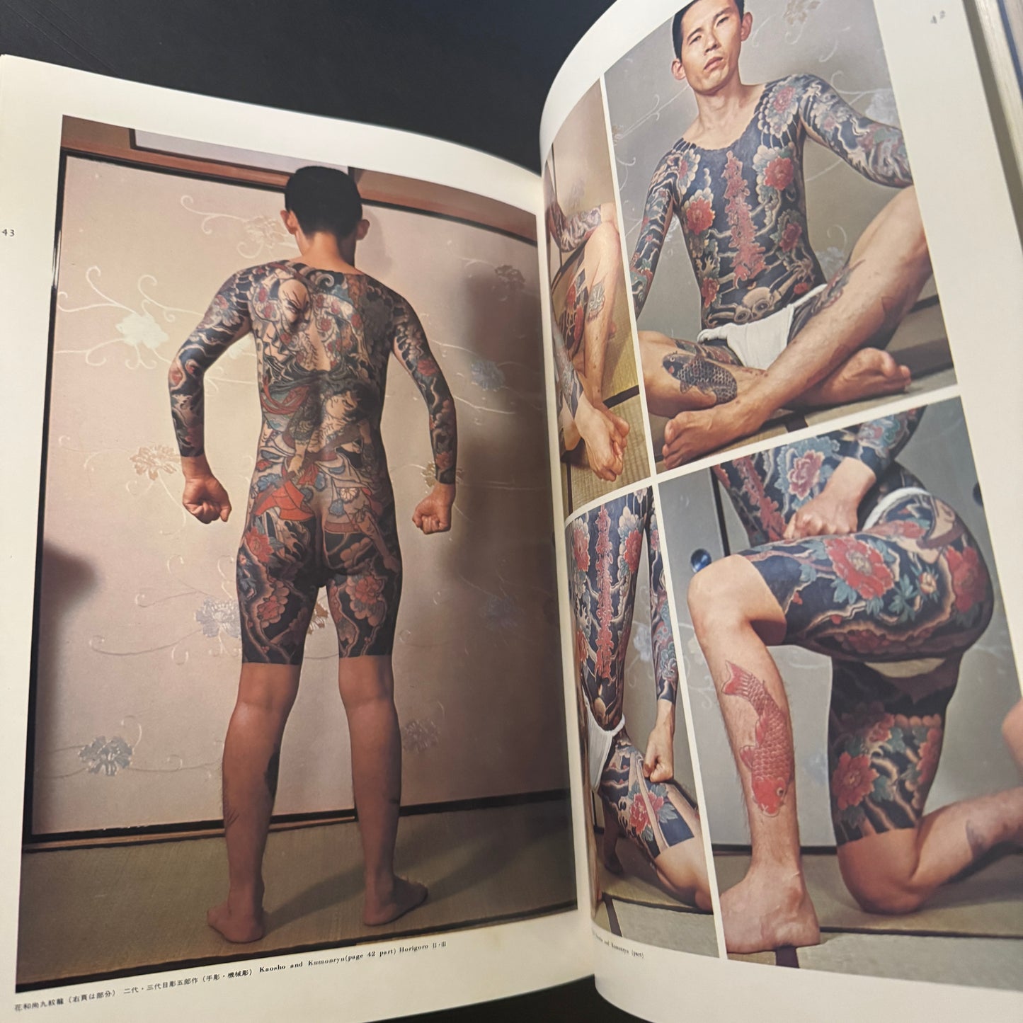 World of Japanese Tattooing color-illustrated