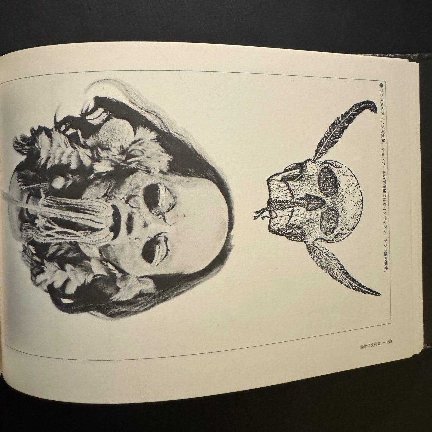 Cultural History of the Skull (Japanese edition) without a transportation carbon box