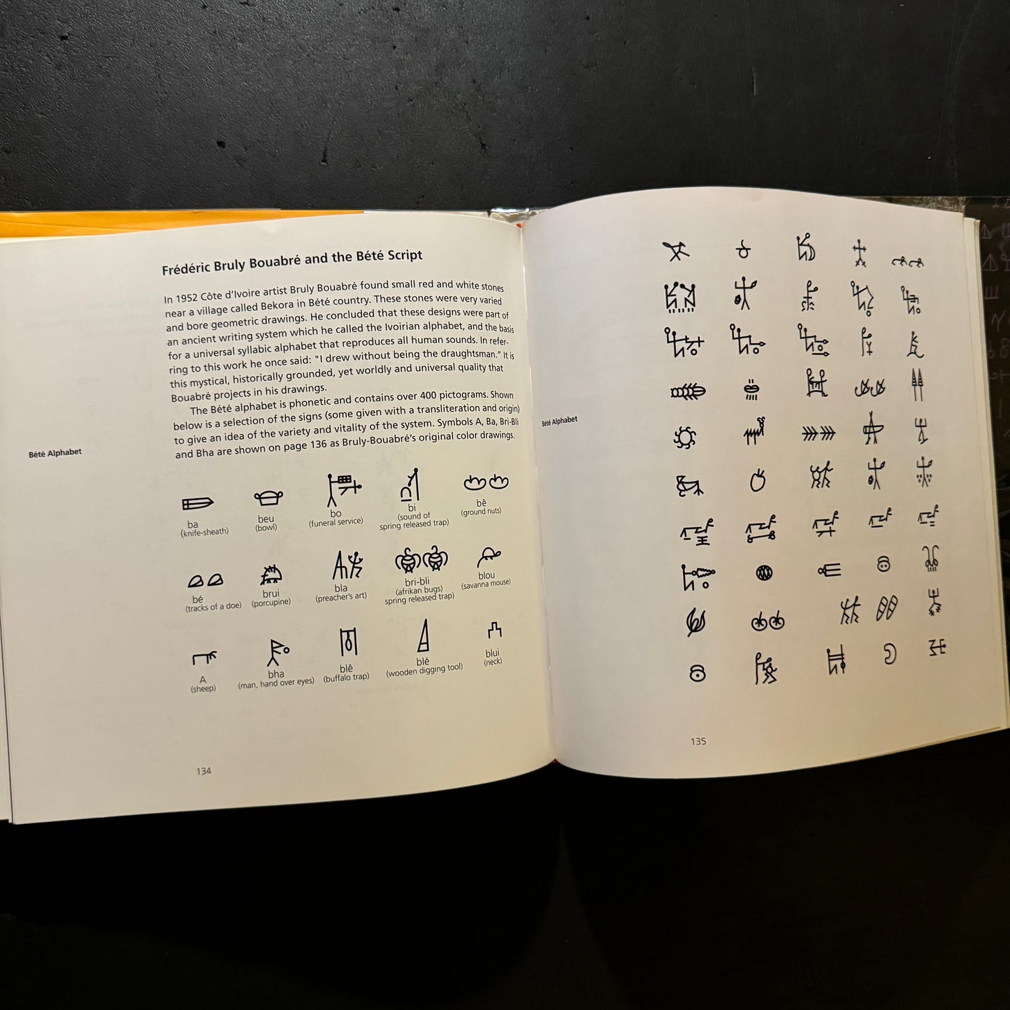 Afrikan Alphabets - The story of writing in Afrika