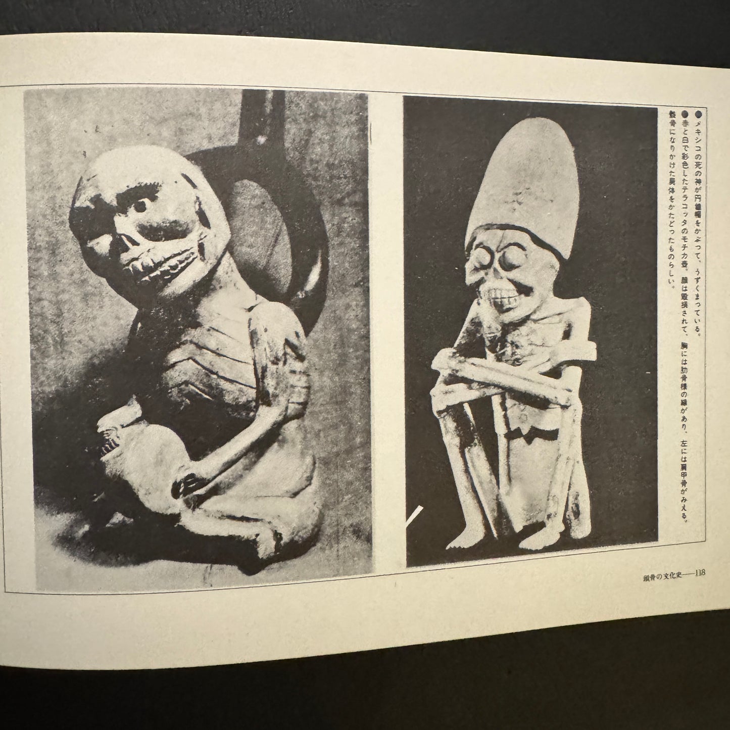 Cultural History of the Skull (Japanese edition) without a transportation carbon box