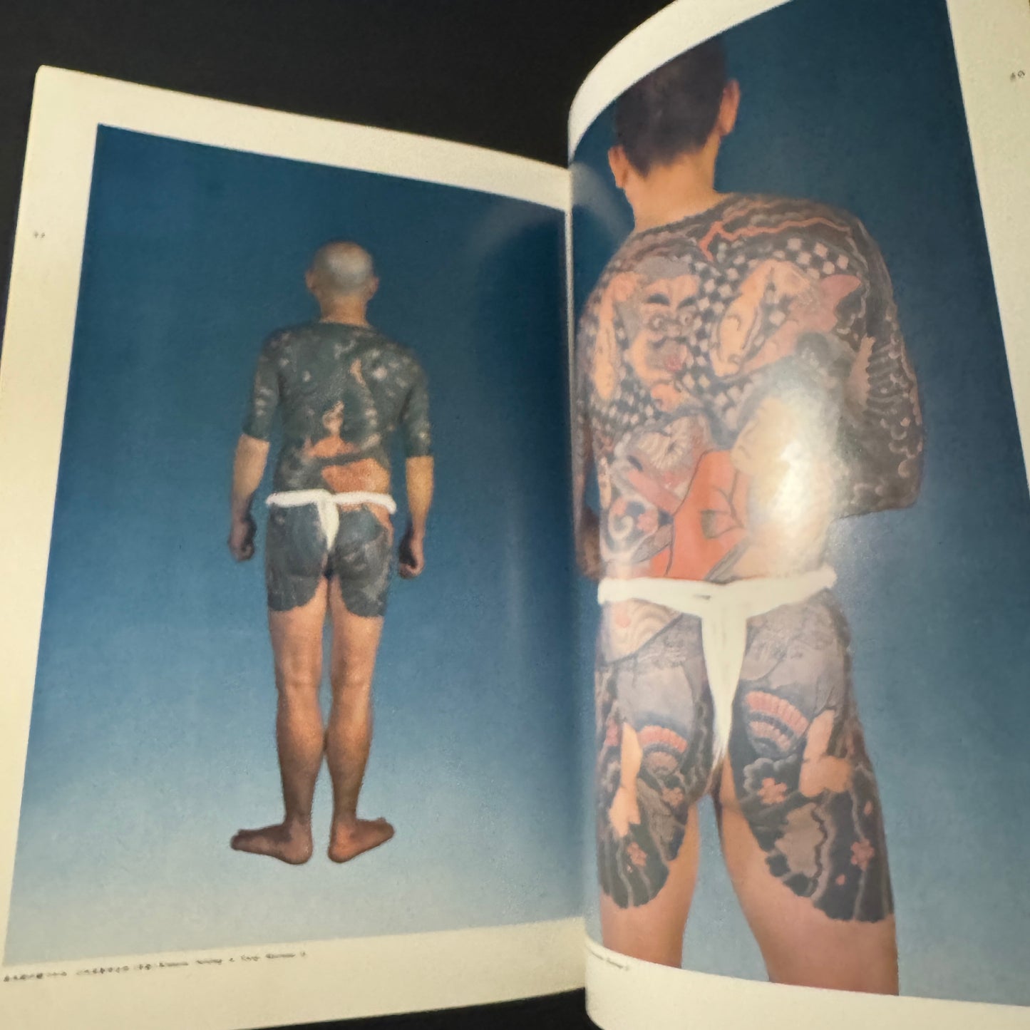 World of Japanese Tattooing color-illustrated