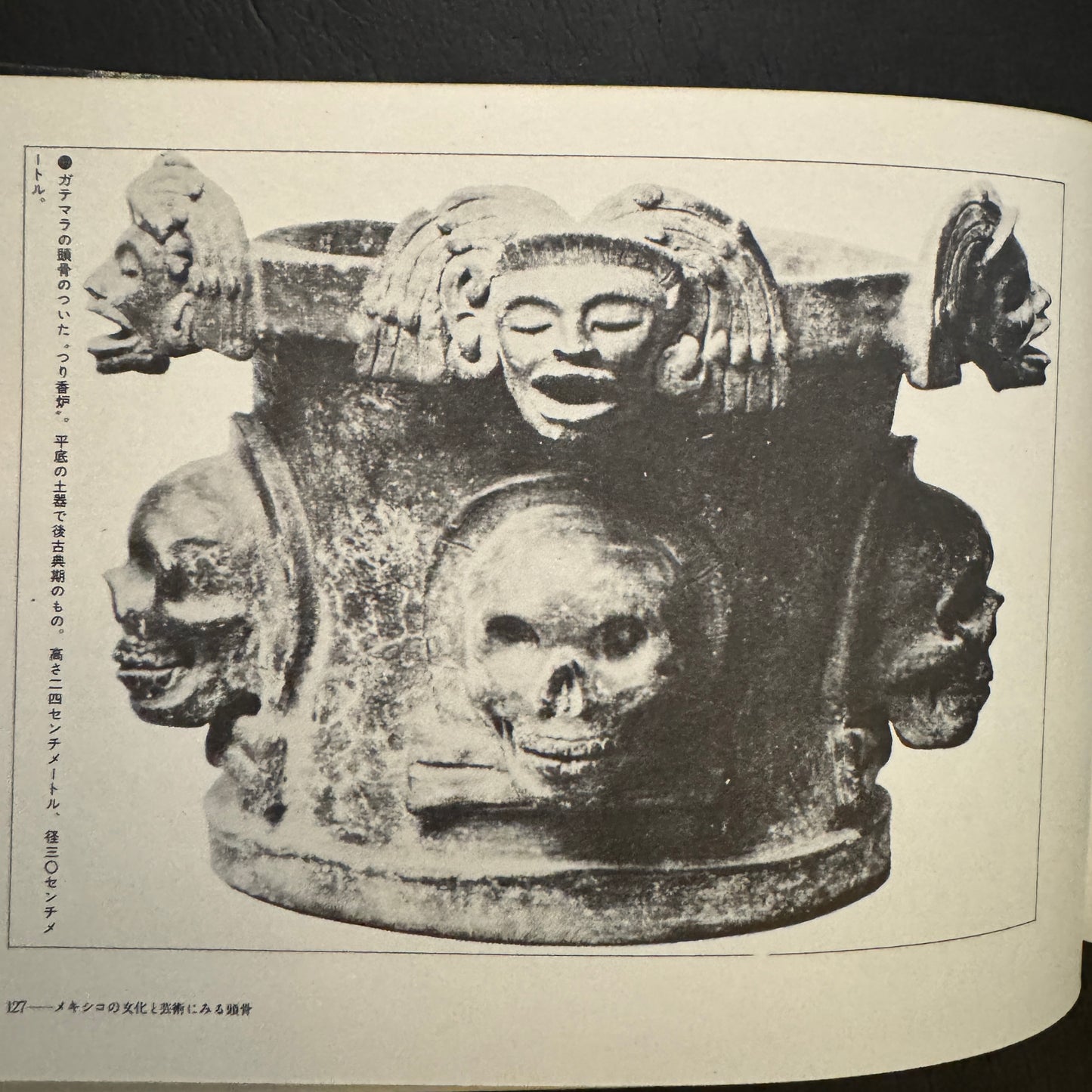 Cultural History of the Skull (Japanese edition) without a transportation carbon box