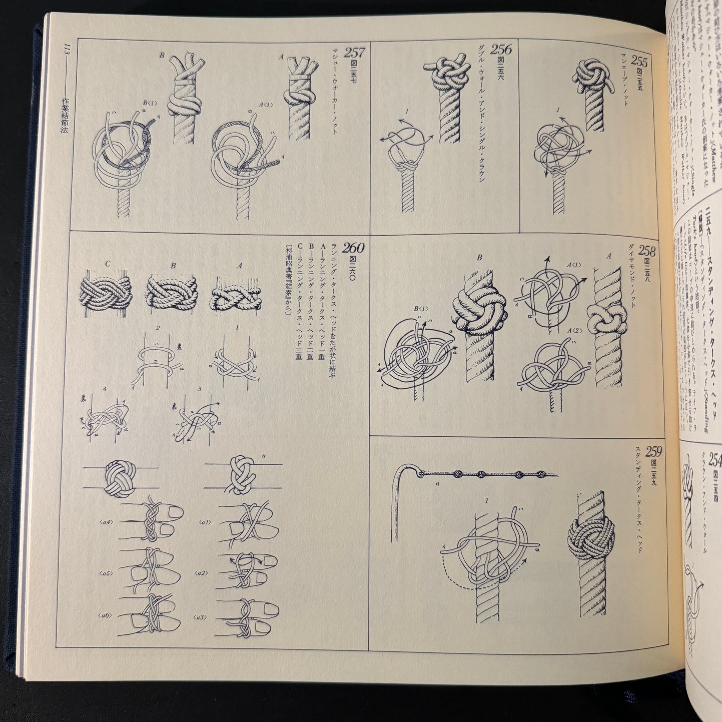 Illustrated Japanese knot